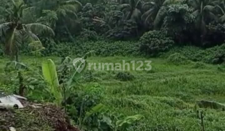 Dijual Tanah Dibawah Harga Njop Di Lokasi Strategis Di Curug Agung Beji Depok