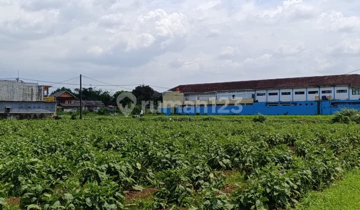Land for Sale Suitable for Cluster, School, Warehouse in Strategic Location at Cilubang Mekar Bogor