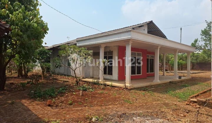 Rumah dan Tanah Luas di Mantingan Jepara