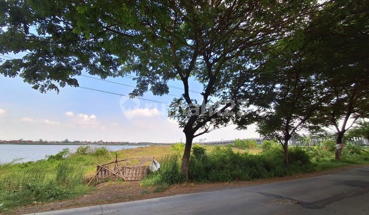 Tamah Strategis ******** Sayung Demak