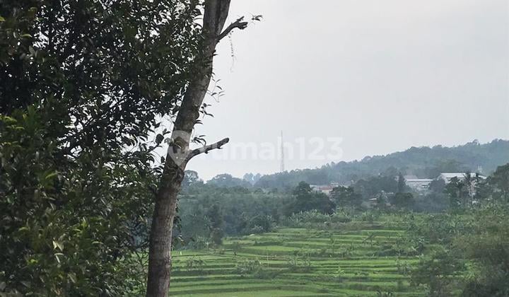 Dijual Tanah Kebun Desa Cisalada Cigombong Bogor
