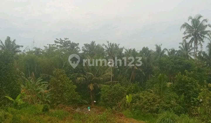 For Sale Land on Argrowisata Roadside Near RSUD Sleman