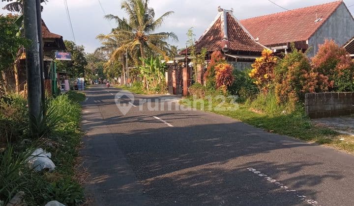 Disewakan Tanah Tepi Jalan Agrowisata Murangan Sleman