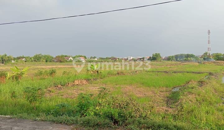 Dijual Tanah SHM 3 Hektar Lokasi Lingkar Timur Buduran