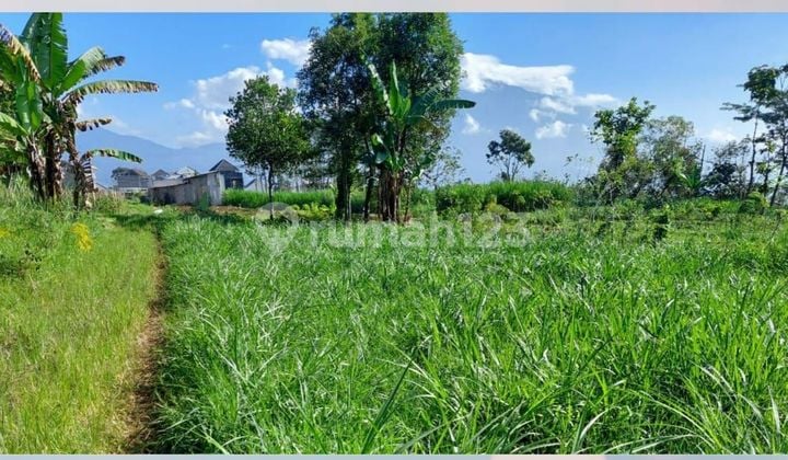 Dijual Tanah Murah Lokasi Sirsat BATU SHM