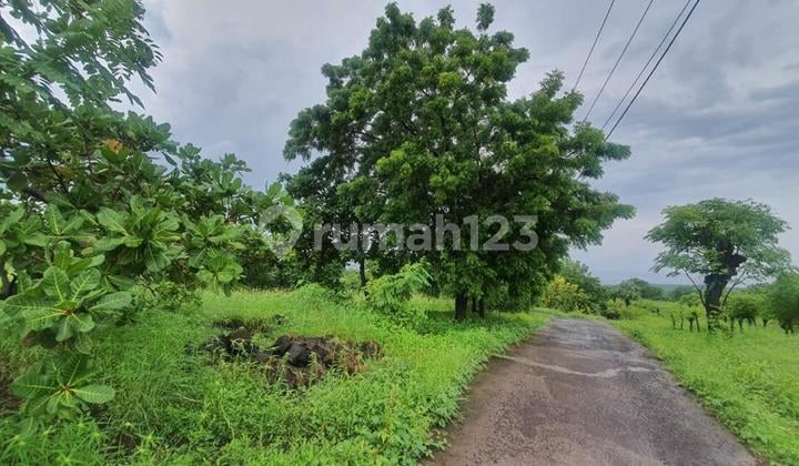 Land for Sale in Karangasem Bali. Negotiable Until Deal