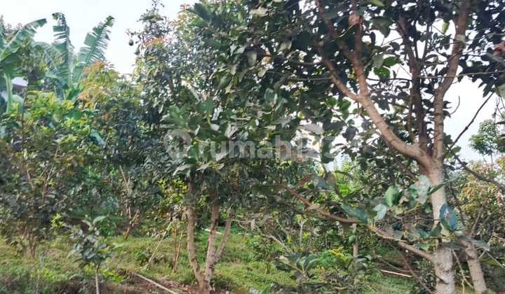 Dijual Tanah SHM View Gunung di Bulukerto Batu Malang