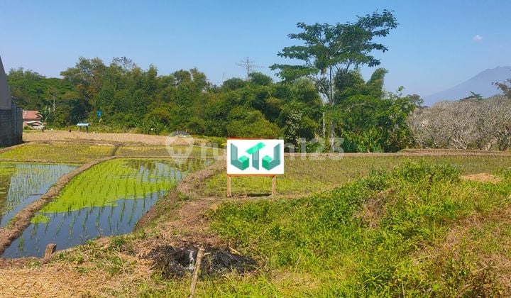 Dijual Tanah SHM Luas di Purwosari Malang