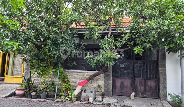 Dijual Via Lelang Rumah Wonorejo Rungkut Lokasi Strategis Dekat Kampus,Toll