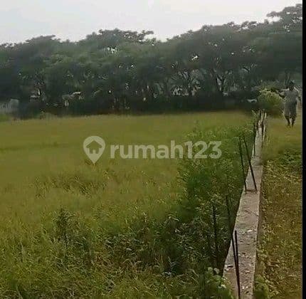Tanah Di Padangan Bojonegoro Jalan Raya Padangan Ngawi