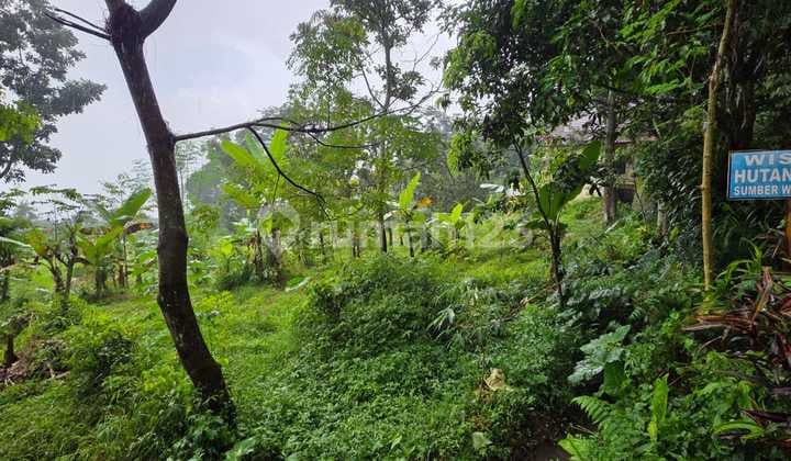 Dijual Via Lelang 300426 Tanah Desa Lumbungrejo Trawas Prigen