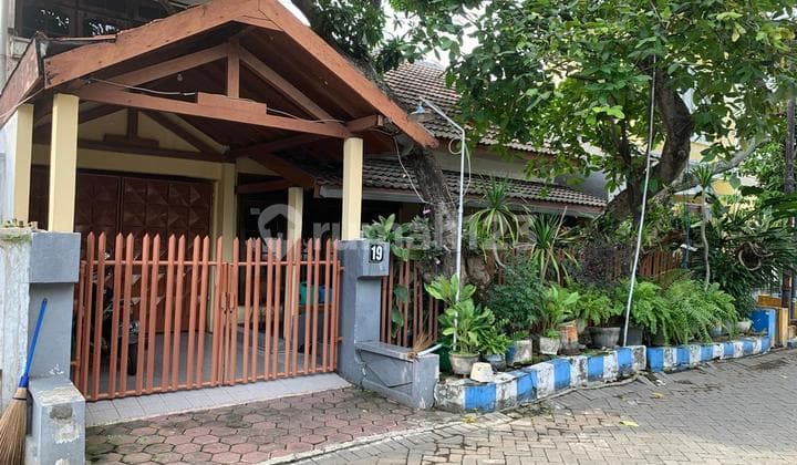 Di Jual Via Lelang Rumah Medayu Kosagrha