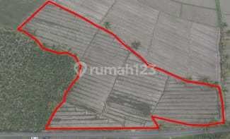 Dijual Via Lelang 060526 Tanah Desa Padasan Pujer Bondowoso