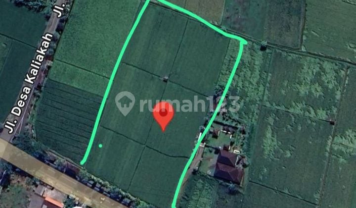 Dijual Tanah Jl Udayana Ds.kaliakah Negara Kab.jembrana Bali