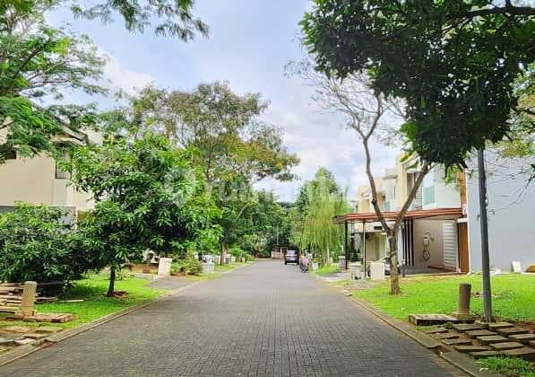 Tanah Di Foresta