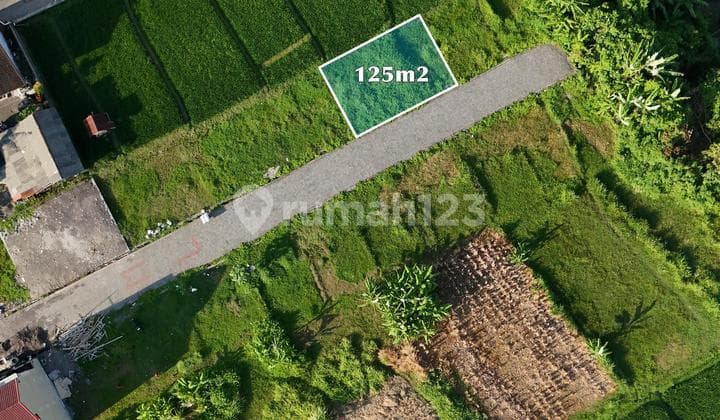 Tanah Premium Langka Plot Kecil Di Kerobokan Kaja View Sawah