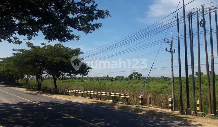 Dijual Tanah Tuban Nol Jalan Raya Tuban - Semarang Km 34