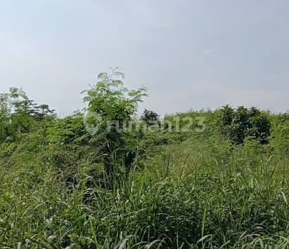 Disewakan Kavling Komersial Harga Murah Posisi di Jalan Boulevard Alam Sutera