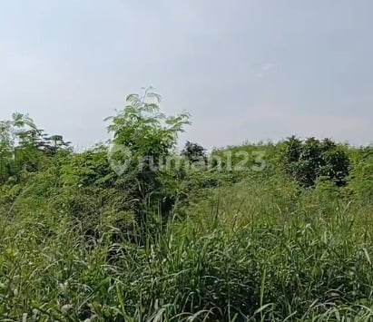 Disewakan Kavling Komersial Harga Murah Posisi di Jalan Boulevard Alam Sutera