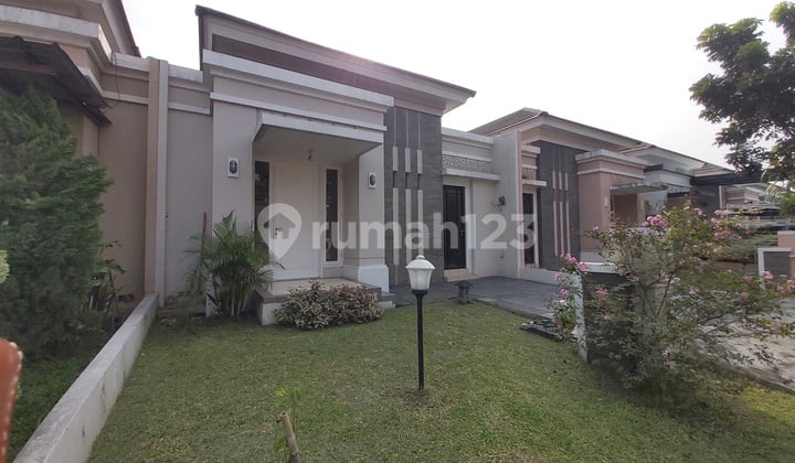 Rent a House in Cluster Cempaka Suvarna Sutera, Tangerang