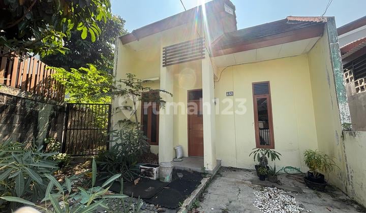 Rumah & Tanah Bagus Asri Siap Huni Cluster Angelonia Medang Lestari