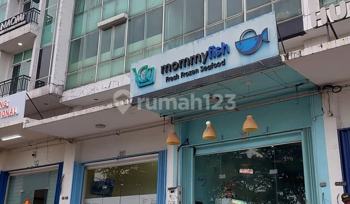 Dijual Cepat Ruko 4 Lantai Siap Usaha di Scientia Summarecon Serpong