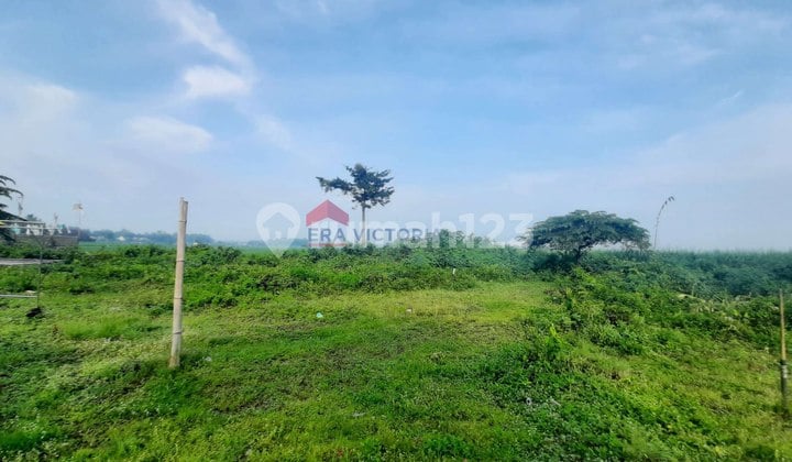 tanah lokasi strategis sudah padat penduduk dekat fasilitas kesehatan, bank, polsek, koramil