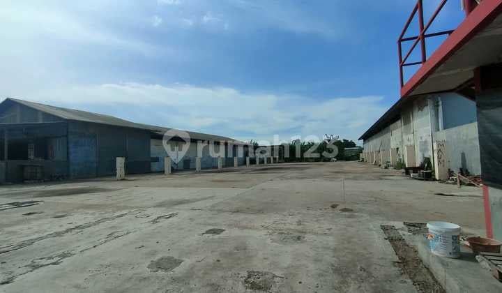 Hot Item! Lahan Kosong Luas & Siap Pakai Area Kapuk Kamal Penjaringan Jakarta Utara