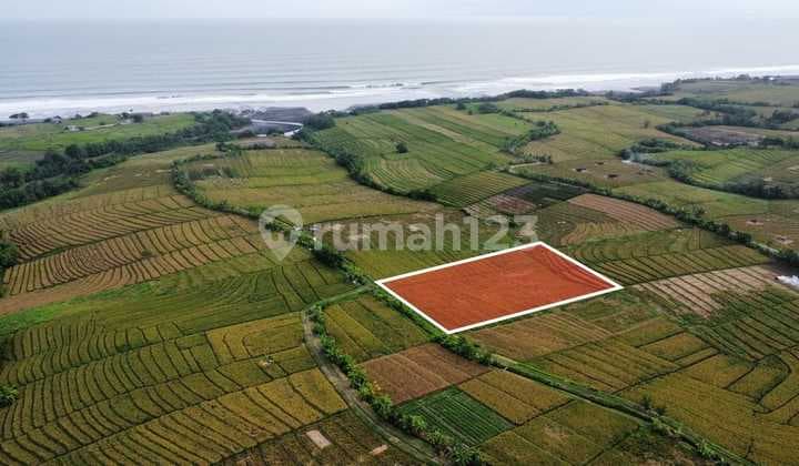 Tanah 2950 m2 SHM Pasut Tabanan, Dekat Soori Bali