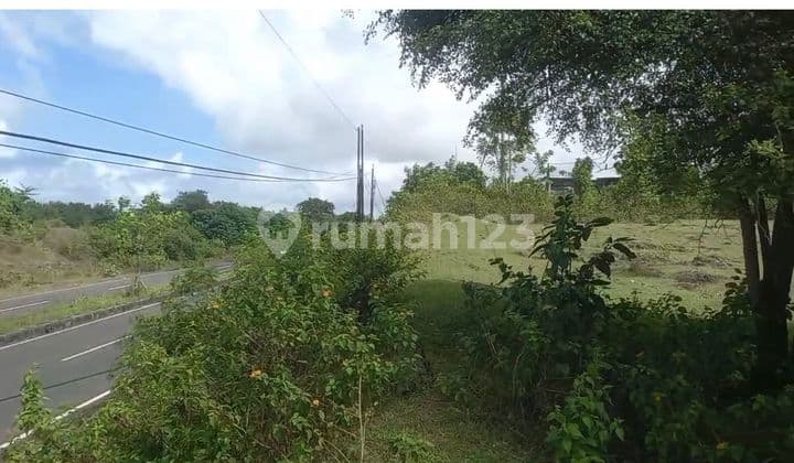 Dijual tanah 3500 m2 zona pariwisata Pandawa, Ungasan