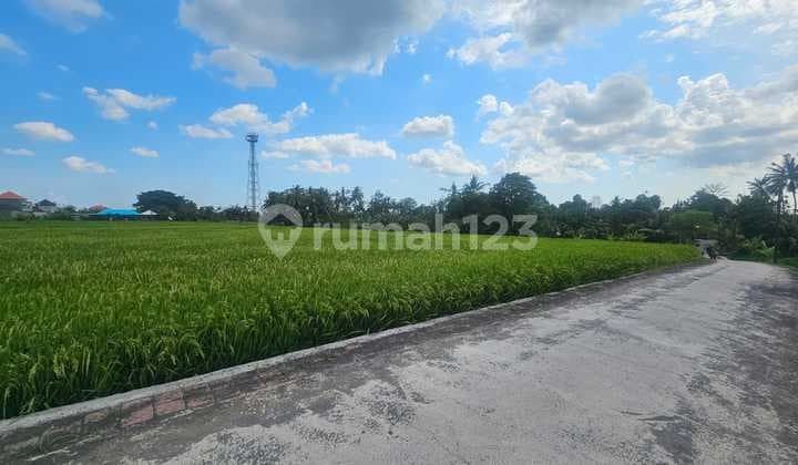 For Sale Commercial Land Location Nyambu Kaba Kaba