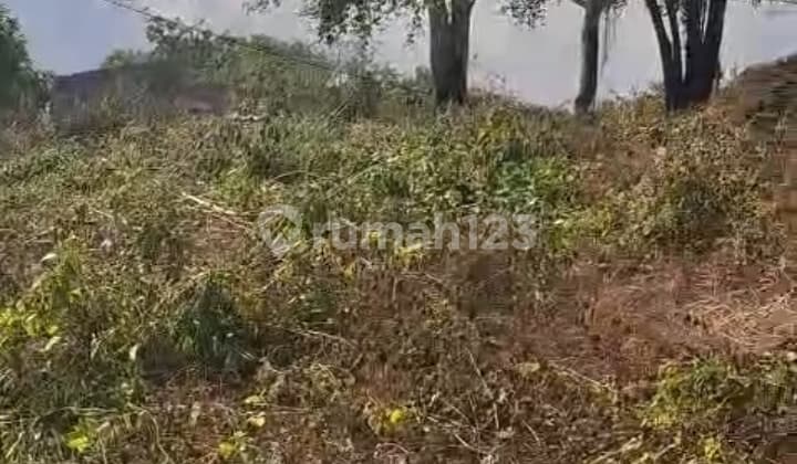 Hot List Top Urgent Termurah Di Kelasnya Di Jual Tanah View Laut Lokasi Tanah Barak Kutuh Pandawa Kuta Selatan