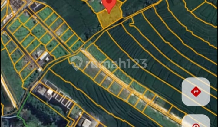 Di Jual Tanah View Sawah Lokasi Cemagi Mengwi Badung