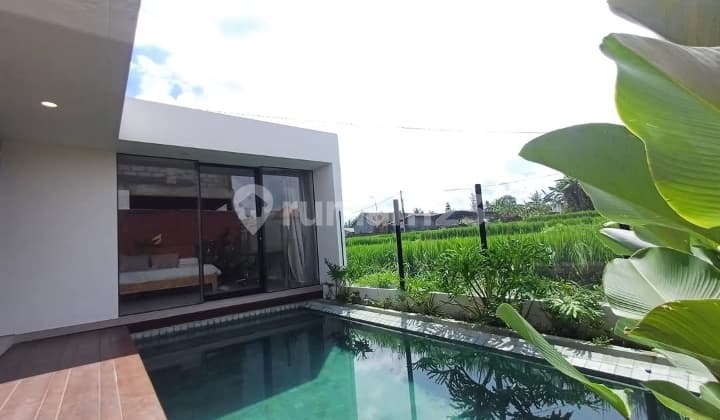 Cheapest in its class for sale Villa View Sawah Location Lodtunduh Ubud Gianyar