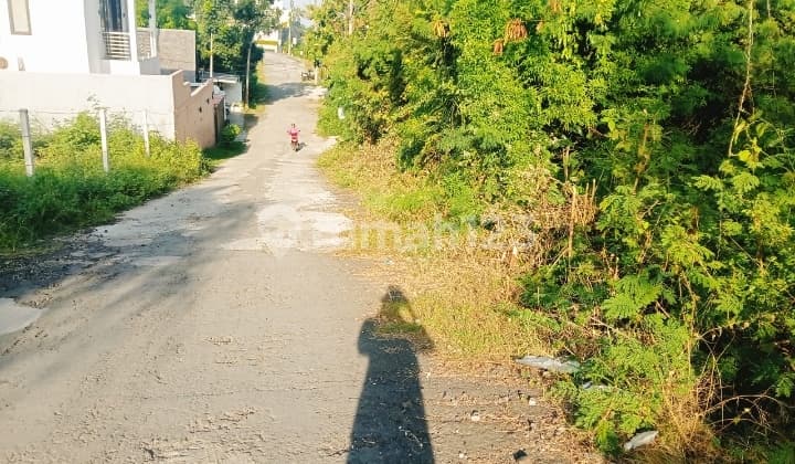 Hot List Top Urgent Termurah Di Kelasnya Di Jual Tanah Lokasi Dekat Villa Airis Pecatu Kuta Selatan