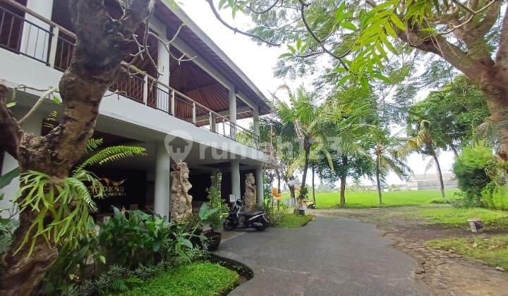 Hot List Top Urgent Hot List Termurah Di Kelasnya Di Jual Hotel Bintang 4 View Sawah Lokasi Ubud Gianyar