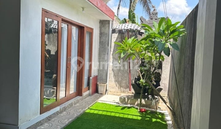 Hot List Top Cheapest In Its Class For Sale House Location Karang Sari West Gatsu West Denpasar