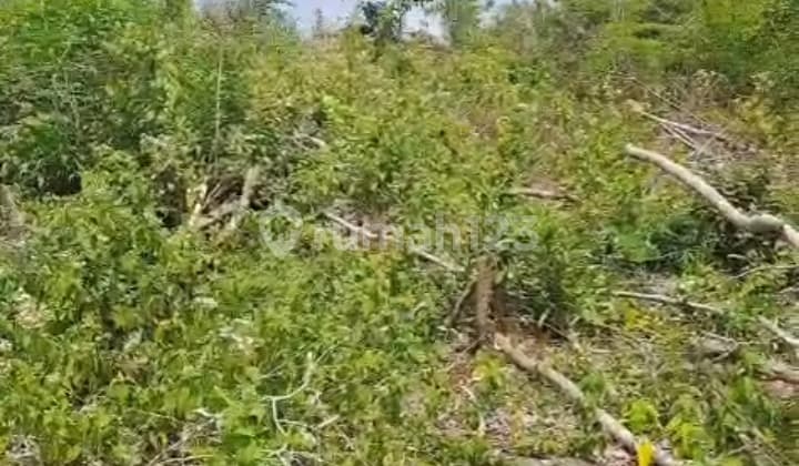 Hot List Top Urgent Termurah Di Kelasnya Di Jual Tanah Lokasi Ungasan Kuta Selatan