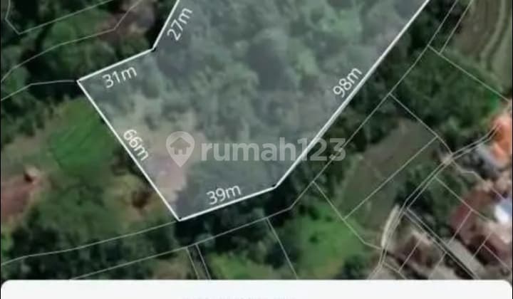 Hot List Top Urgent Cheapest In Class River View Land For Sale Location Cepaka Tabanan