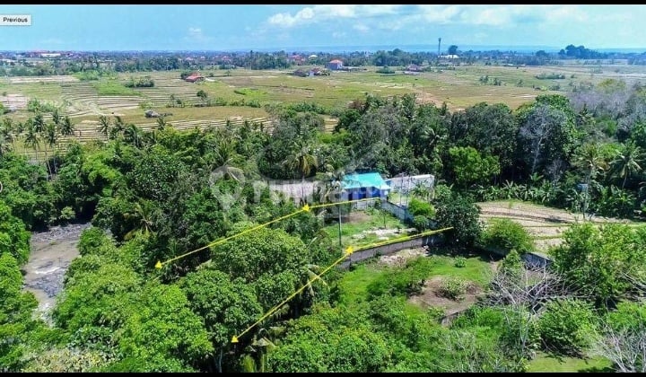 Hot List Top Urgent Cheapest In Its Class For Sale Land Location Nyanyi Tabanan
