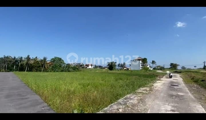 Hot List Top Urgent Termurah Di Kelasnya Di Jual Tanah Lokasi Kedungu Tabanan