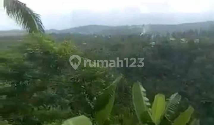 Hot List Top Urgent Cheapest in Its Class For Sale Land with Valley and Forest View Location Payangan Gianyar