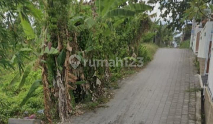 Hot List Top Urgent Termurah Di Kelasnya Di Jual Tanah View Sawah Lokasi Tumbak Bayuh Pererenan Canggu Kuta Utara