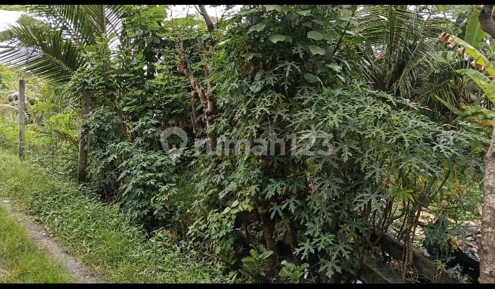 Land for Sale in Siulan, Penatih, East Denpasar