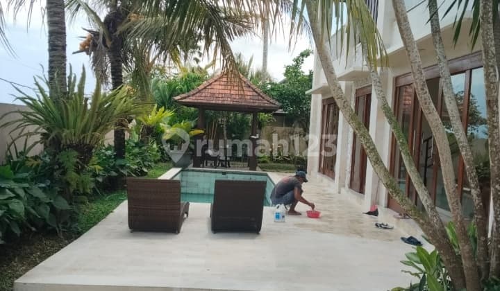 Hot List Top Urgent Termurah Di Kelasnya Di Jual Villa View Sawah Lokasi Buwit Kaba Kaba Tababan