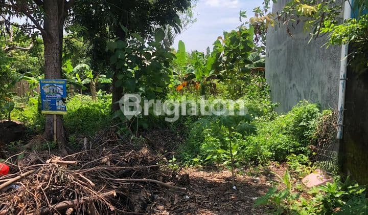 TANAH KAVLING 6X17 SIAP BANGUN DI PUCANG GADING - COCOK UNTUK INVESTASI ATAU HUNIAN