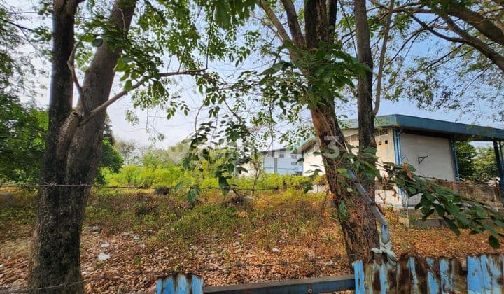 Di Jual Bawah Njop Pabrik & Lahan Kosong Lokasi Sangat Strategis Di Pulogadung Kawasan Industri Jakarta Timur