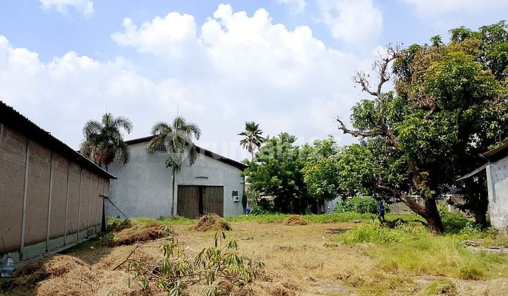 Disewakan Gudang di Rajeg Tangerang - Pinggir Jalan Raya, Lt 4.600 M², Akses Kontainer 40 Ft