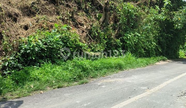 TOP DEAL DI JUAL TANAH VIEW SAWAH PINGGIR JALAN LOKASI LODTUNDUH UBUD GIANYAR