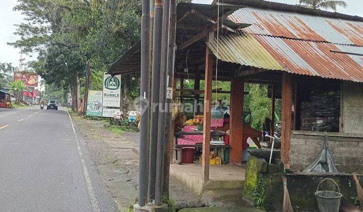 TOP DEAL FOR SALE LAND ON THE SIDE OF THE ROAD LOCATION LUWUS BATURITI TABANAN